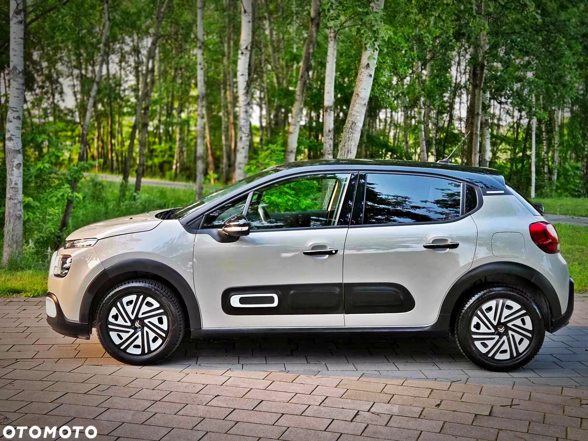 Citroën C3 1.2 PureTech C-Series - 38