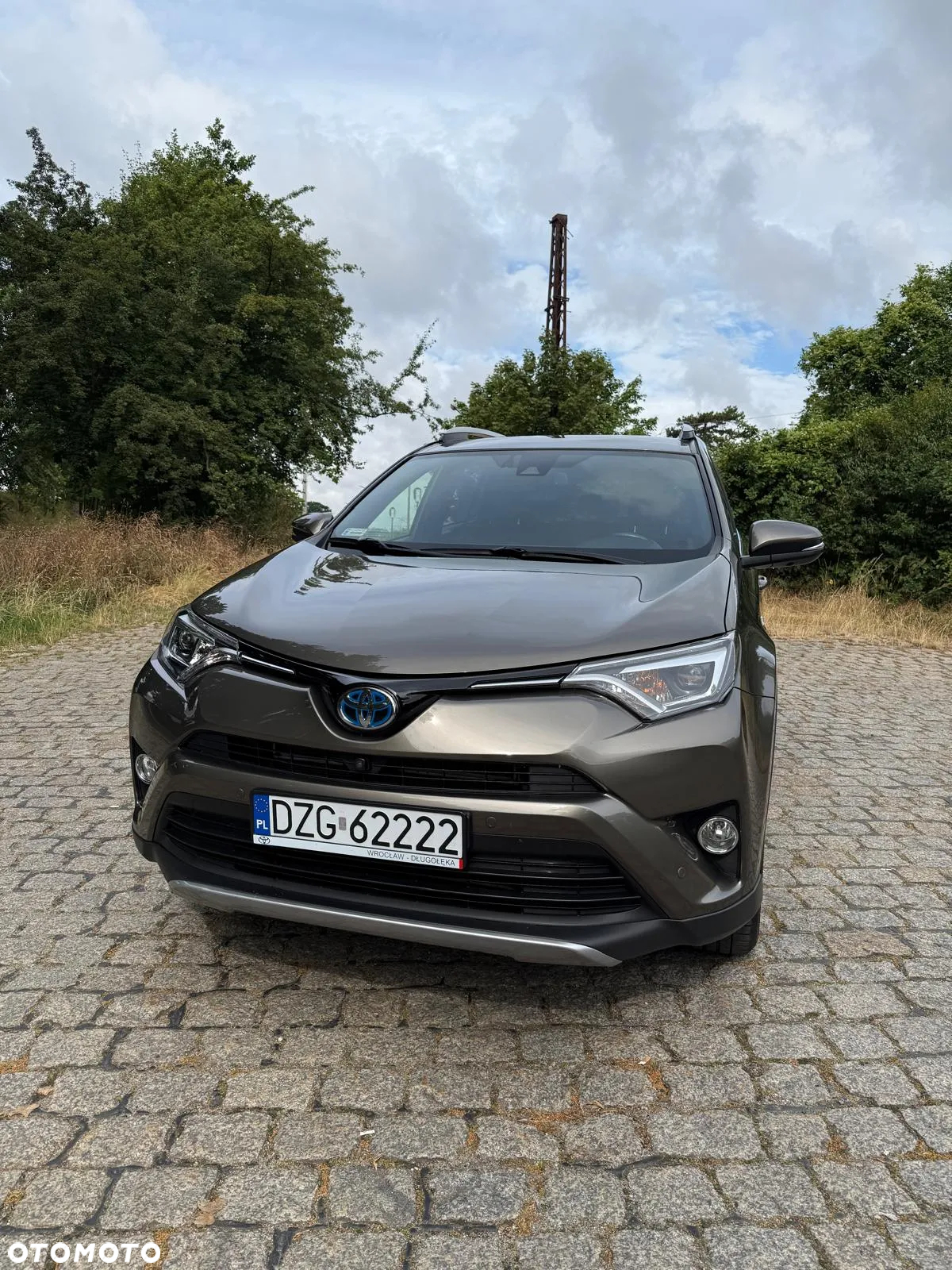 Toyota RAV4 2.5 XLE - 17