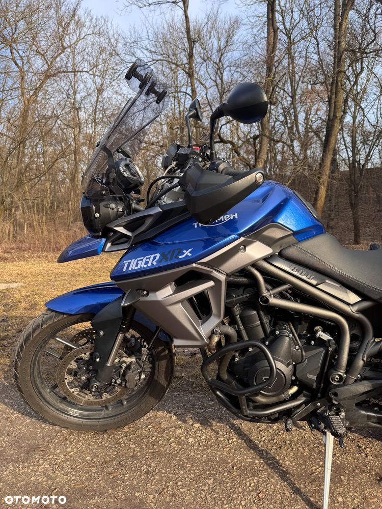 Triumph Tiger - 16