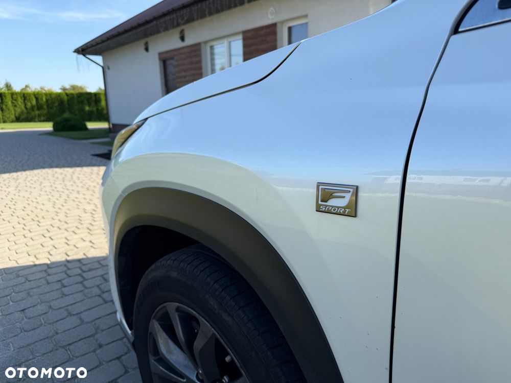 Lexus NX - 10