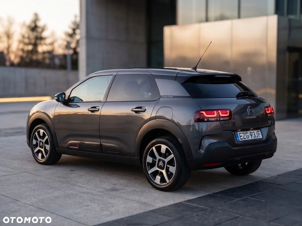 Citroën C4 Cactus PureTech 110 Stop&Start Shine - 18