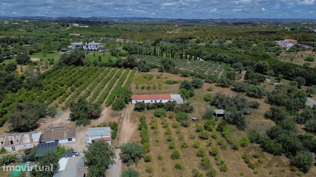 Quinta de 6 assoalhadas com 1,5 hectares de terreno e vista mar - Grande imagem: 3/49