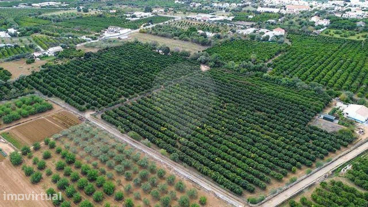 Terreno  para venda - Grande imagem: 3/45