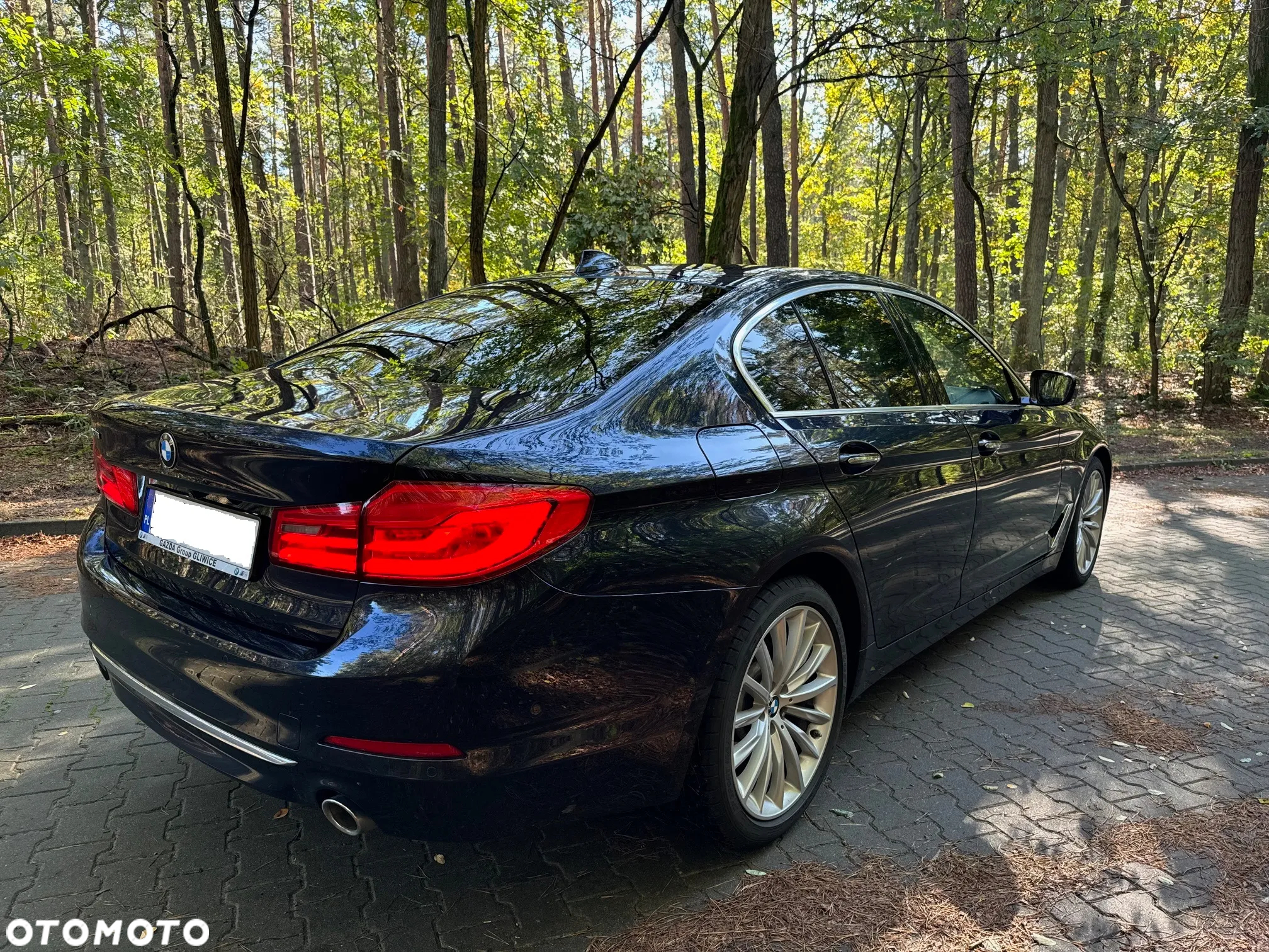 BMW Seria 5 520d xDrive Luxury Line - 6