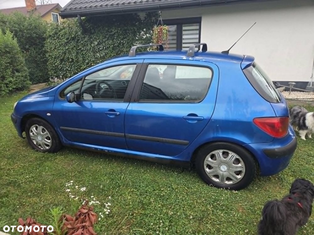 Peugeot 307 1.6 XS Class - 1