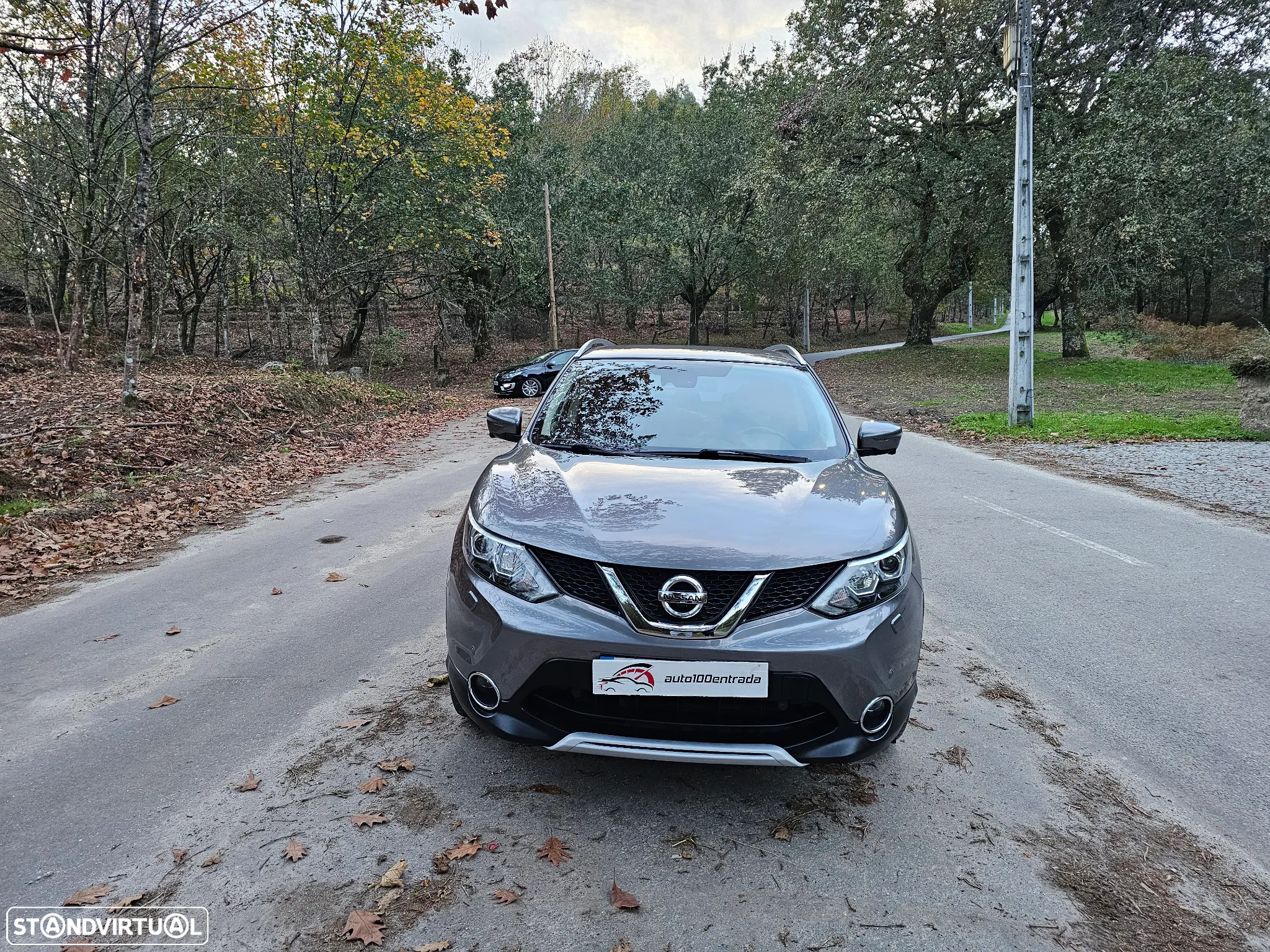 Nissan Qashqai 1.6 dCi Tekna 19 Pele - 8