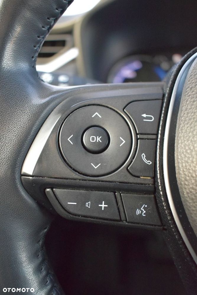 Toyota RAV4 2.5 Hybrid Selection 4x4 - 21