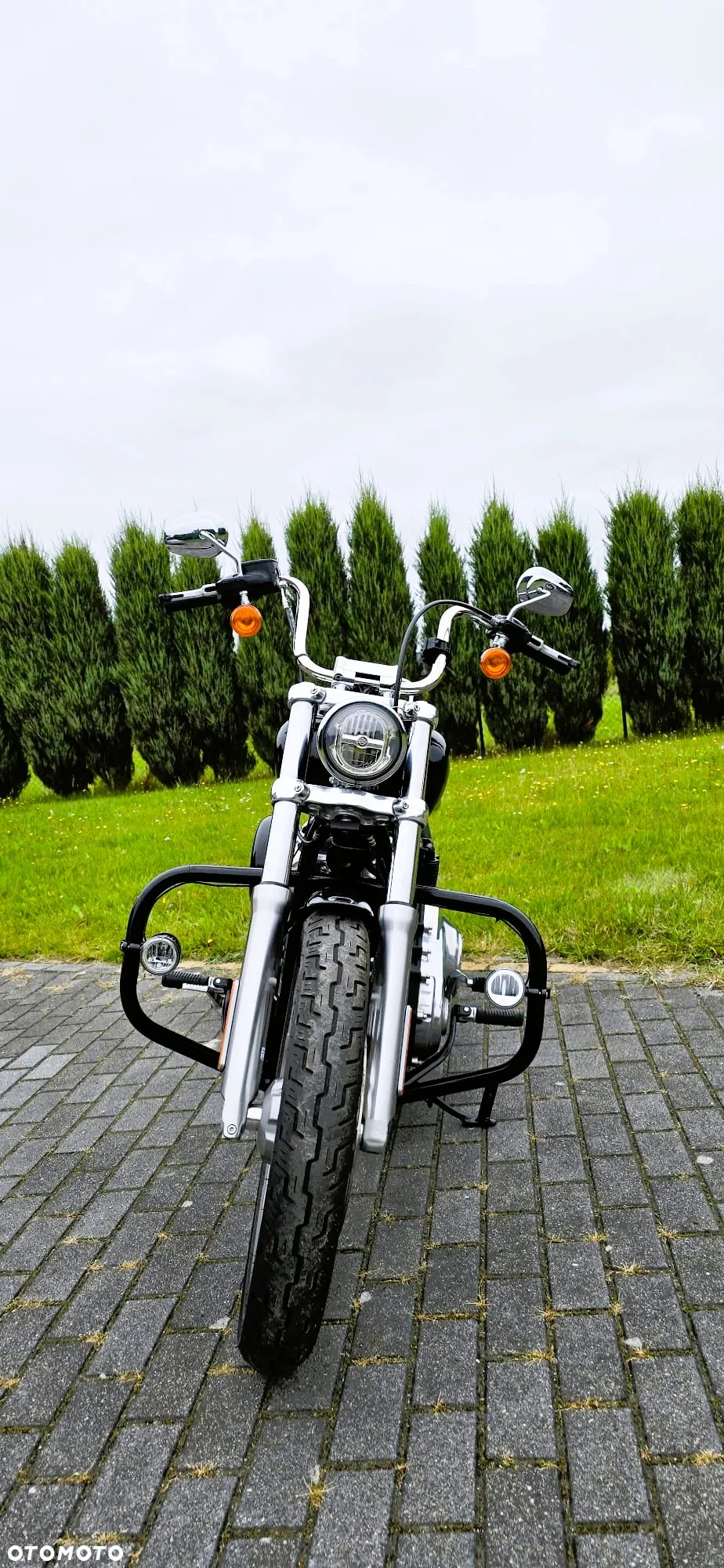 Harley-Davidson Softail Standard - 6