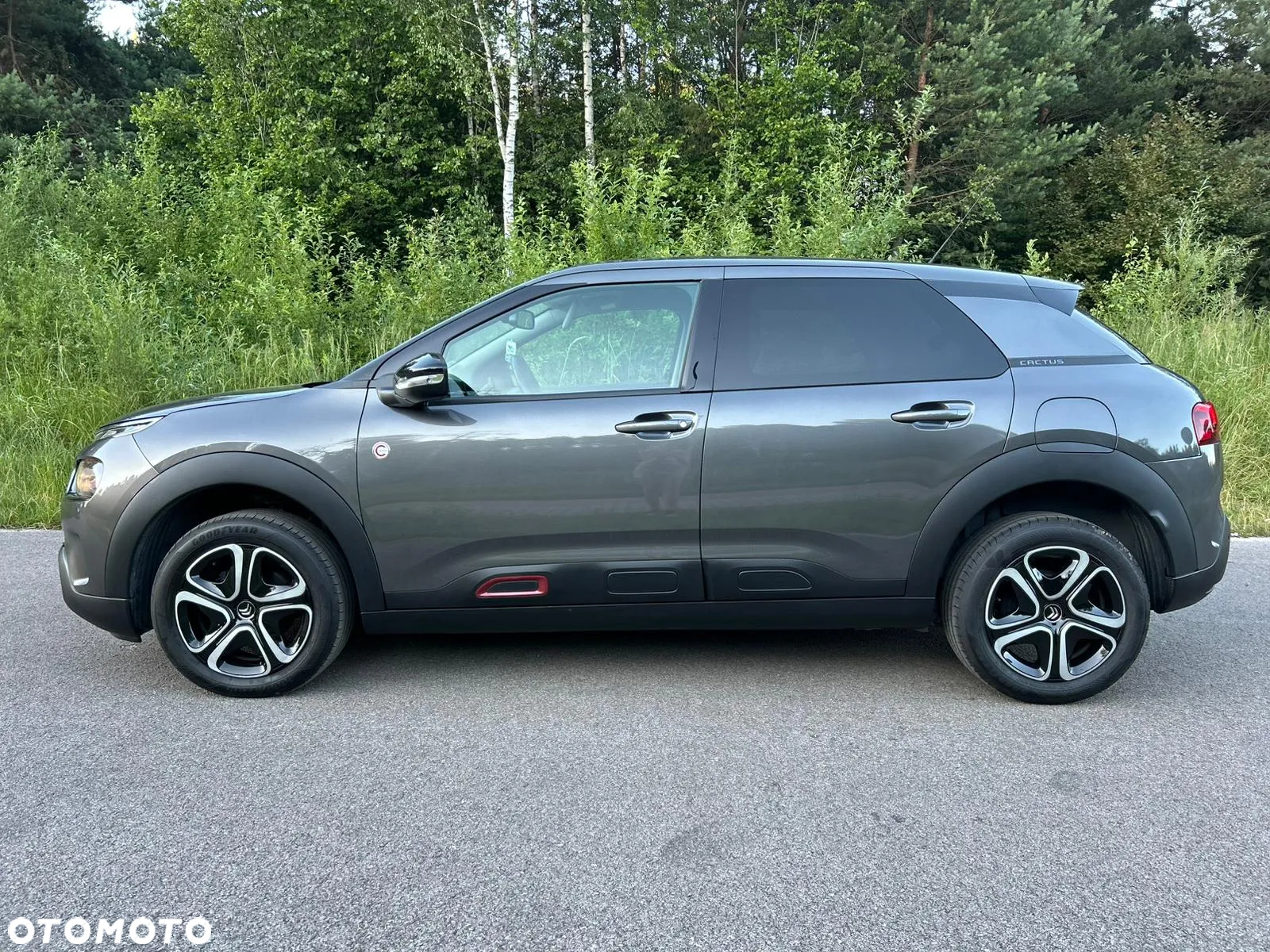 Citroën C4 Cactus 1.5 BlueHDi Feel Pack - 11