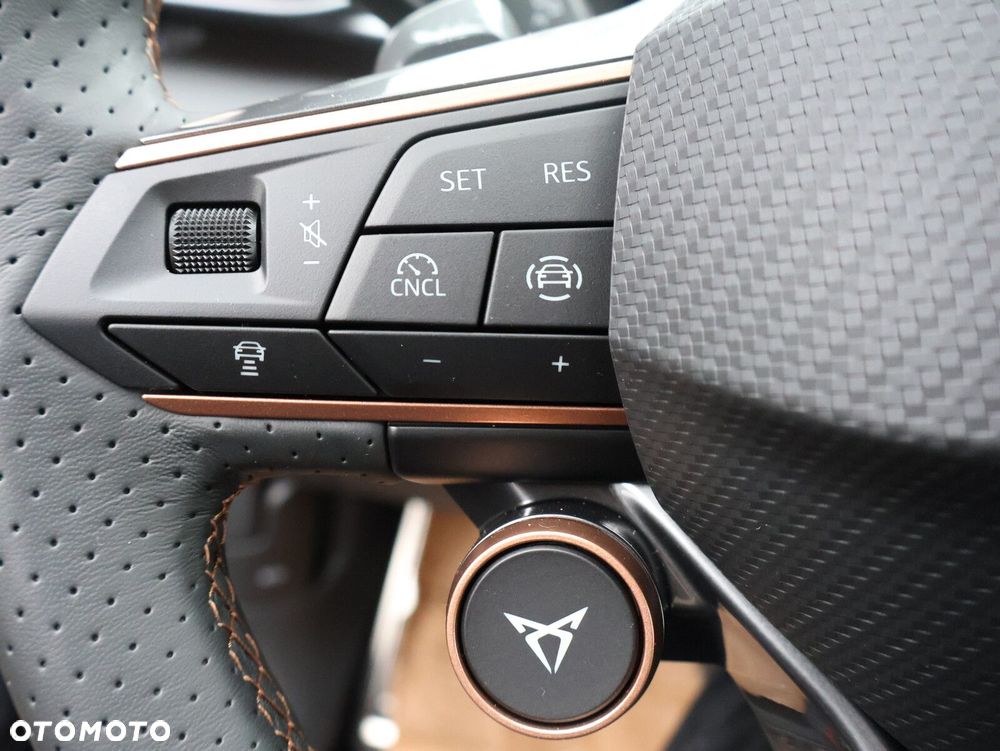 Cupra Terramar 1.5 eTSI mHEV DSG - 25