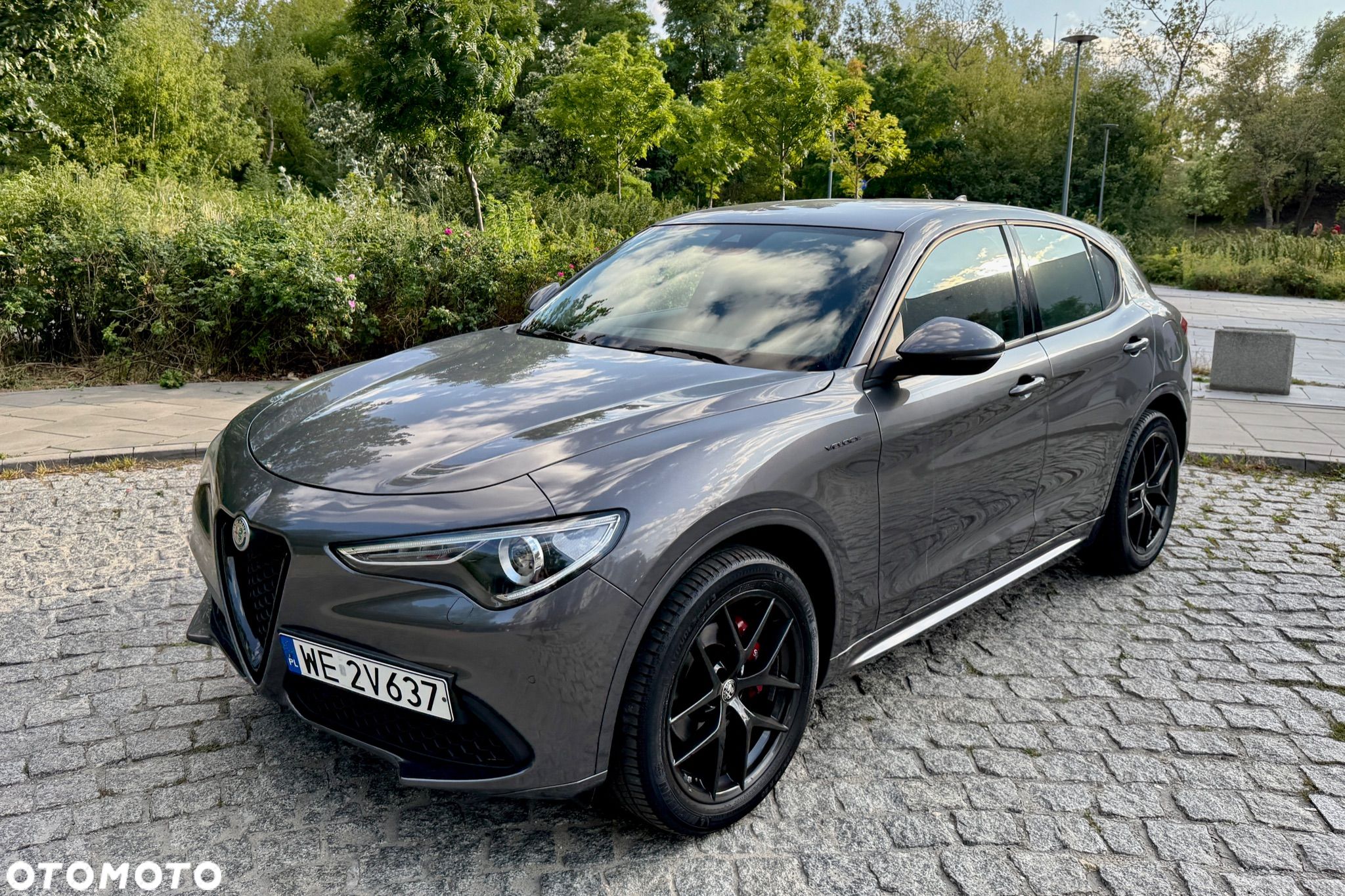Alfa Romeo Stelvio 2.0 Turbo Veloce Q4 - 1