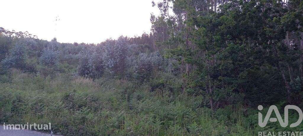Terreno em Sande Vila Nova e Sande São Clemente - Grande imagem: 5/15