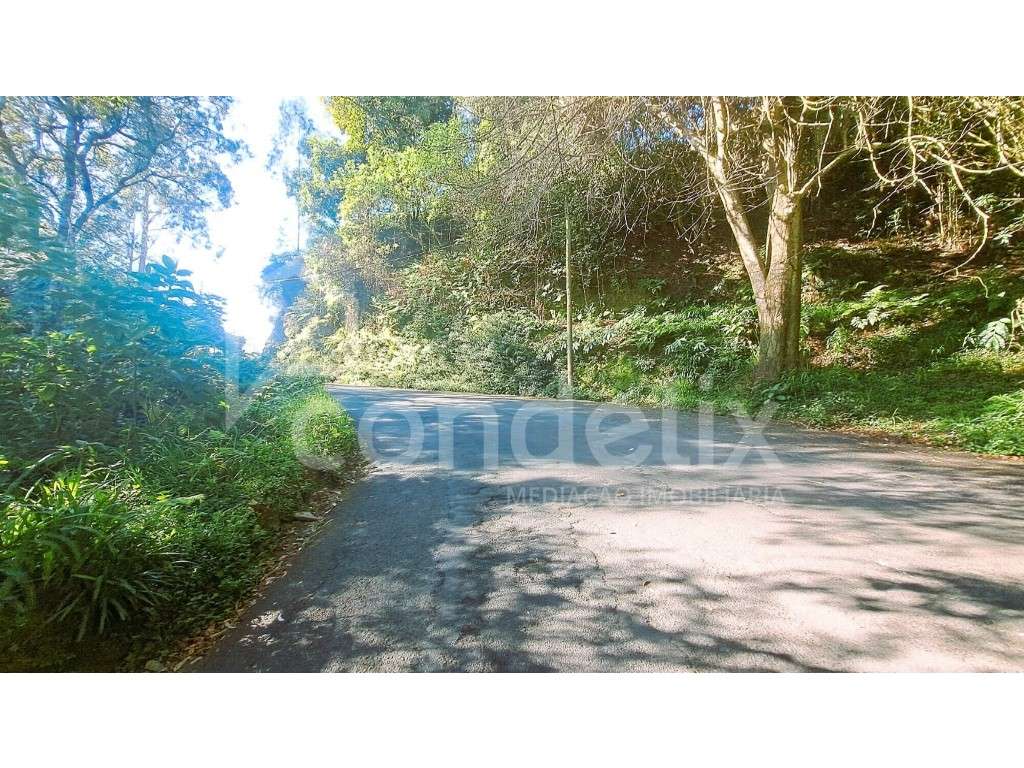 Terreno com 8955 m2 em Santo António da Serra - Grande imagem: 3/32