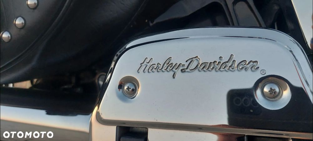 Harley-Davidson Softail - 25