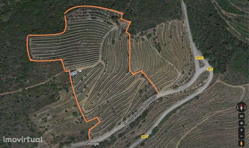 Quintinha no Douro 4 hectares, possibilidade de construcao - Grande imagem: 2/5
