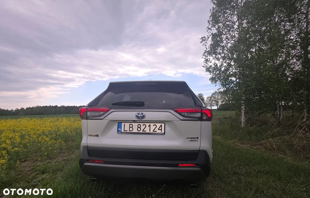 Toyota RAV4 2.5 Hybrid Executive 4x2 - 8