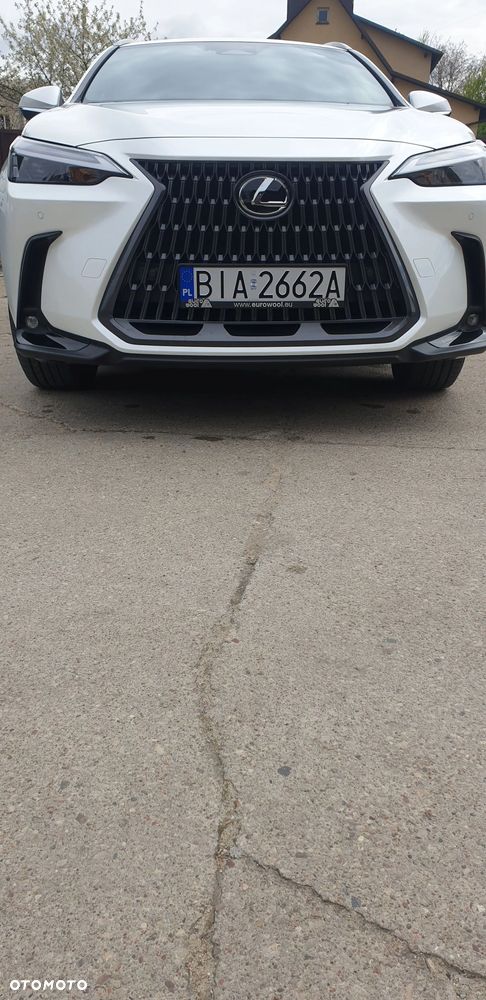 Lexus NX 350h Prestige AWD - 17