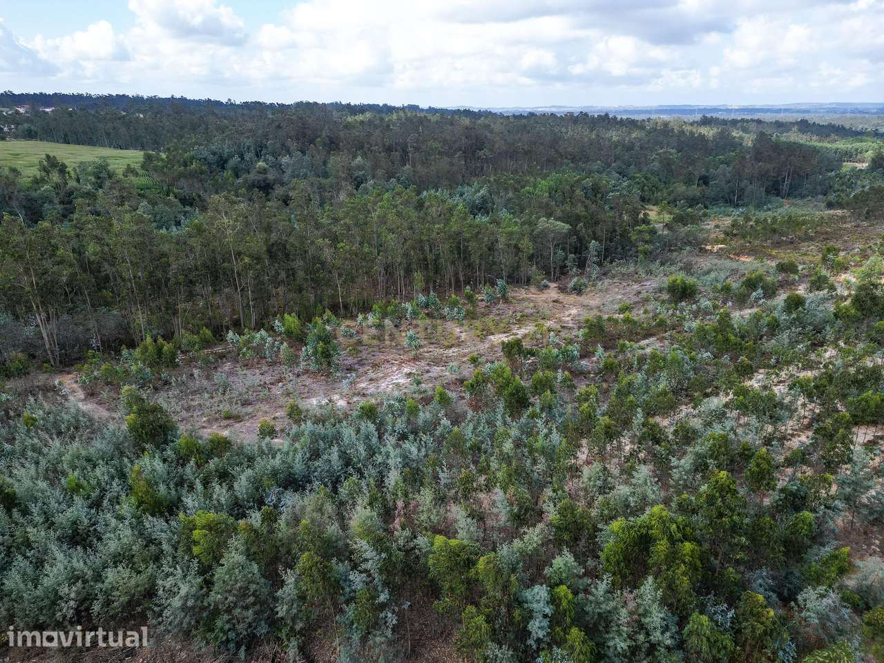 Pinhal com cerca de 720 m² em Canazieira – Cabeça Alta, Montemor-o-Vel - Grande imagem: 4/10