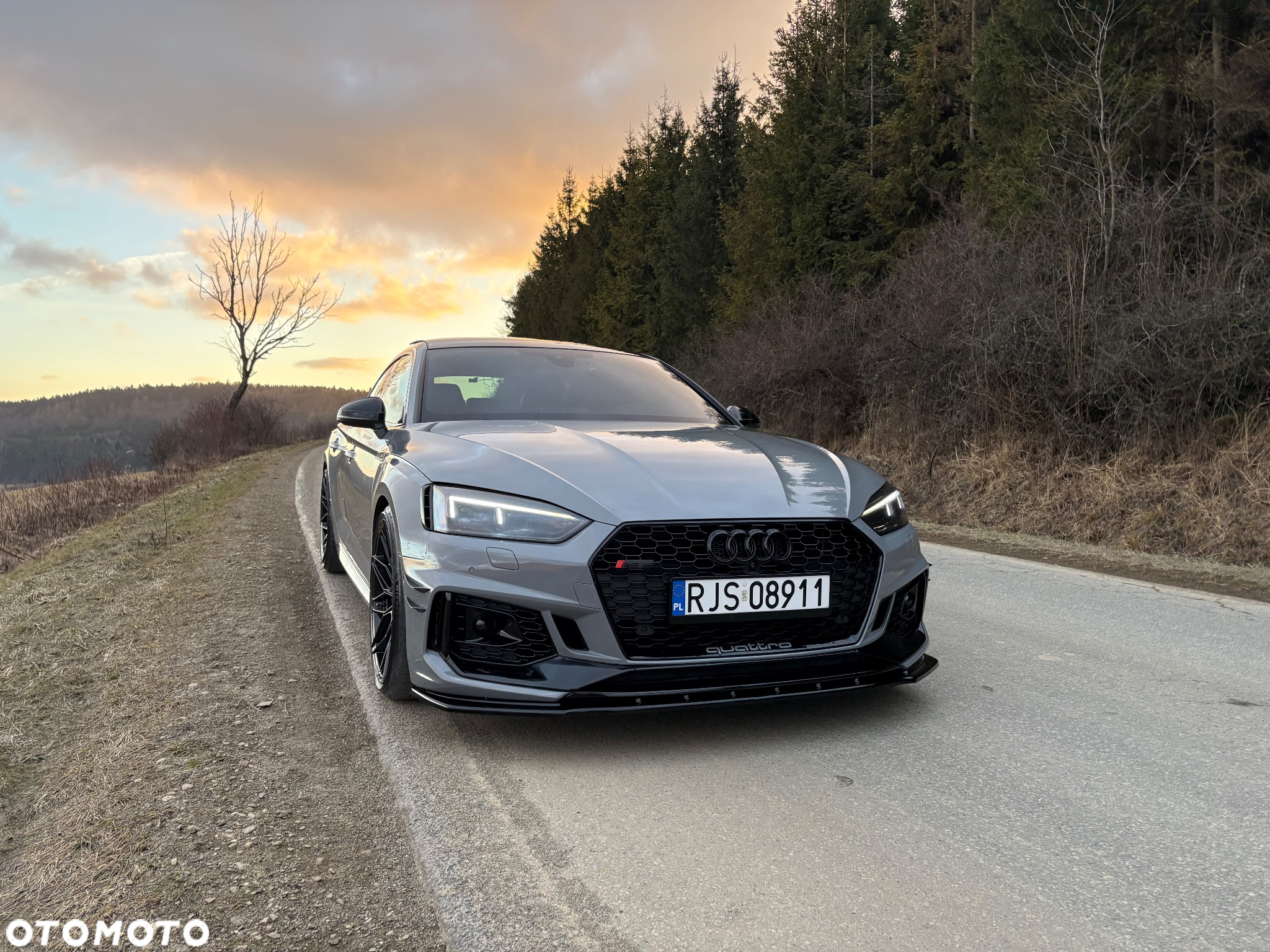 Audi RS5 Sportback 2.9 TFSI quattro tiptronic - 3
