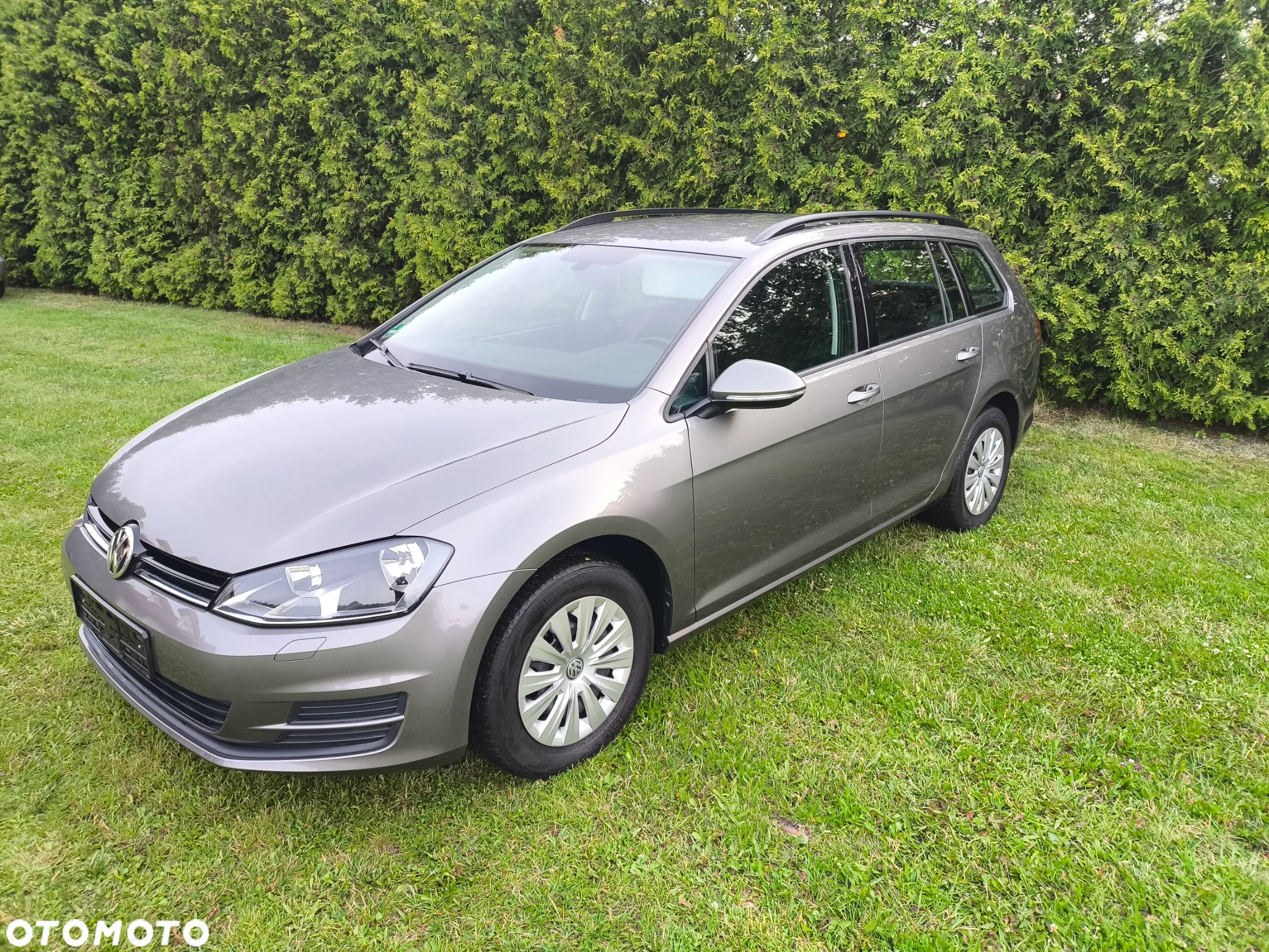 Volkswagen Golf VII 1.6 TDI BMT Trendline - 3