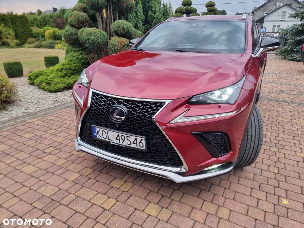 Lexus NX 300h F Sport Edition AWD - 27