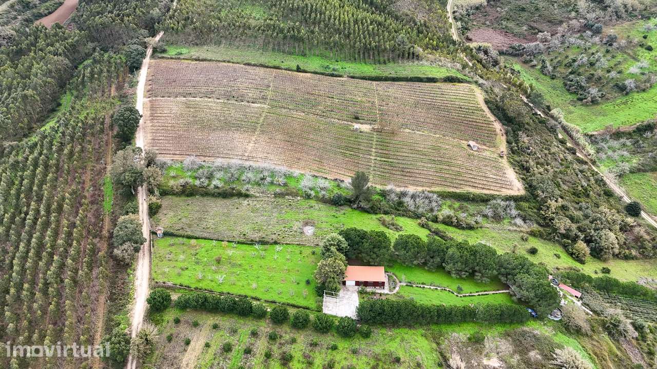 Terreno rustico na Pipa - Grande imagem: 5/12