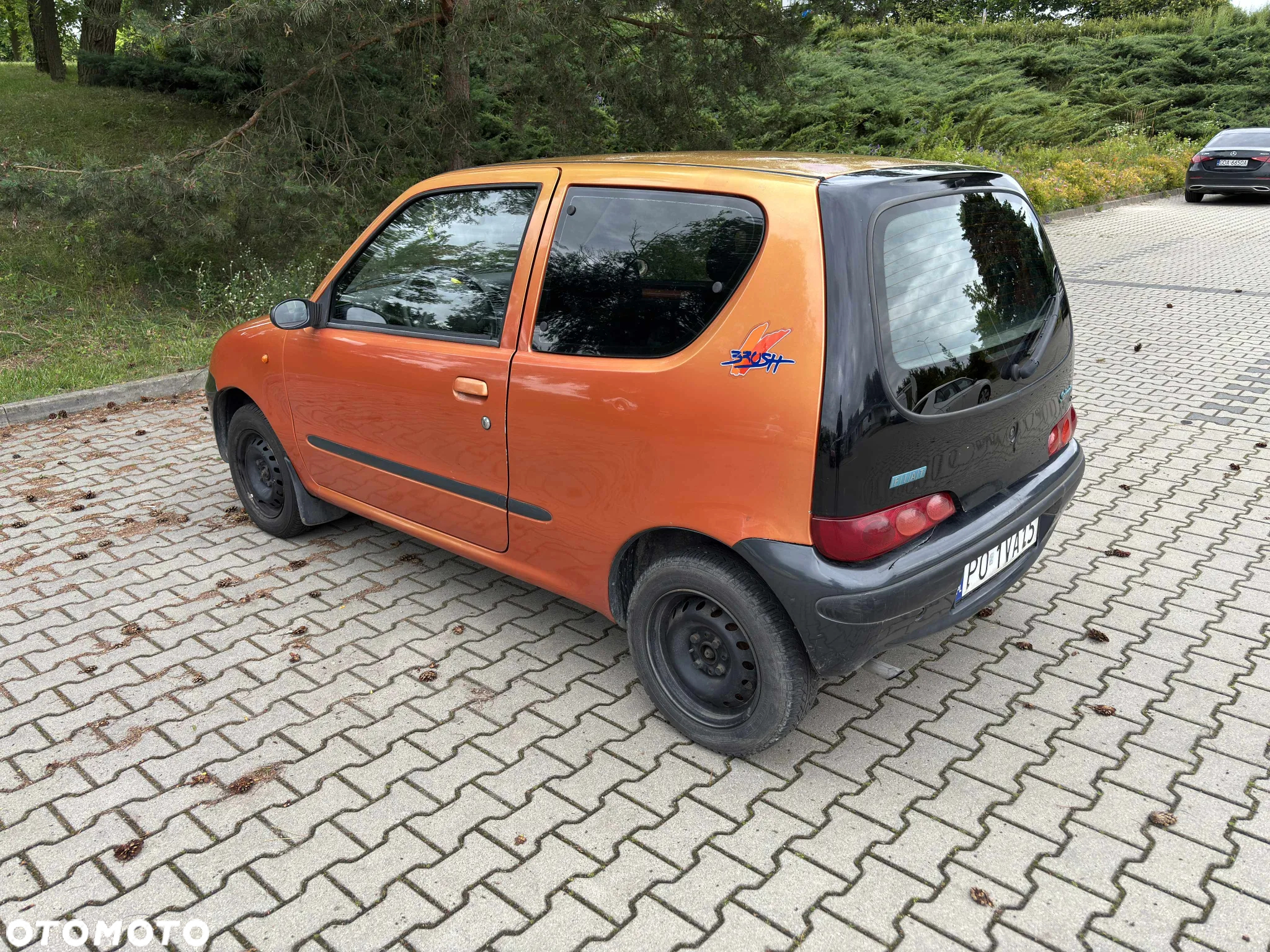 Fiat Seicento Brush - 5