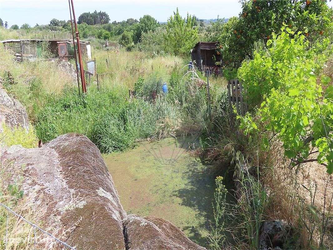 Quinta T2 para venda - Grande imagem: 3/50