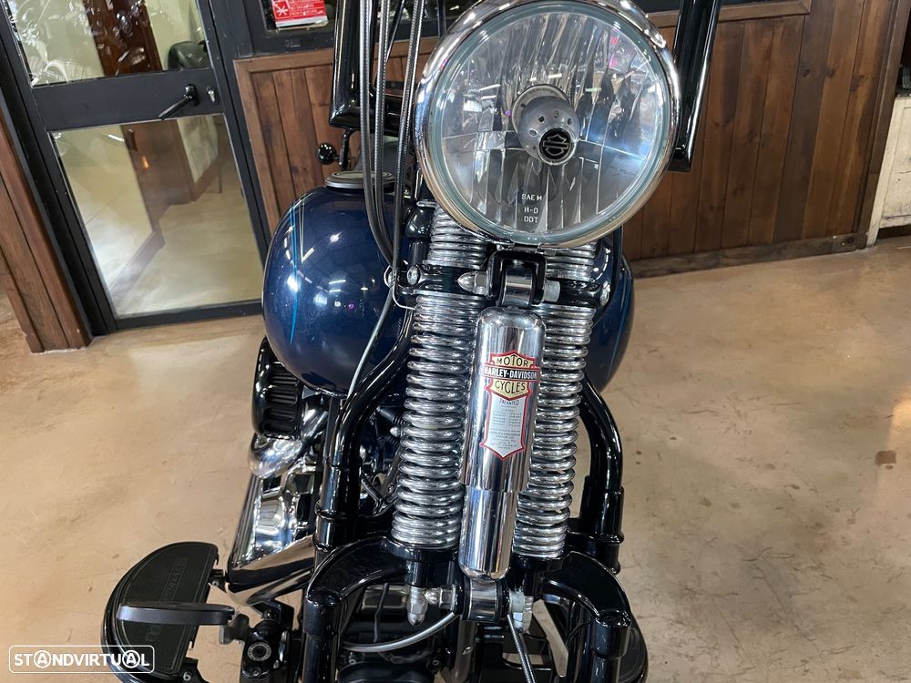 Harley-Davidson FLSTS Crossbones - 20