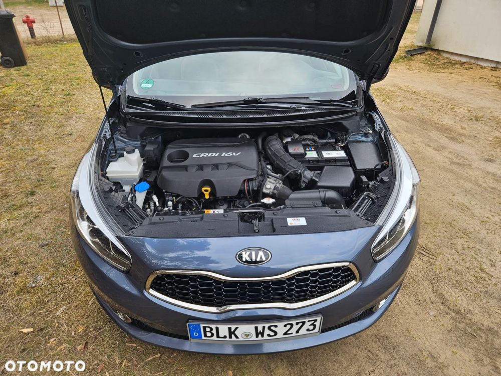 Kia Ceed - 19