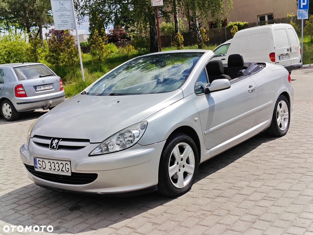 Peugeot 206 CC 110 Sport - 19