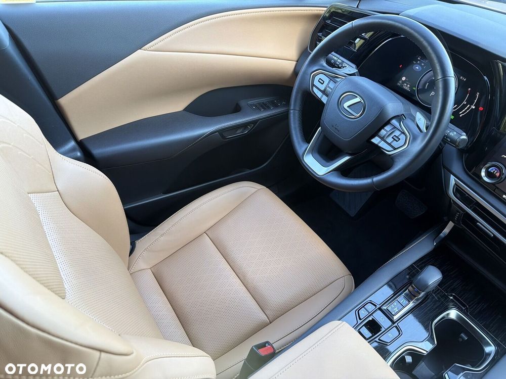 Lexus RX - 13