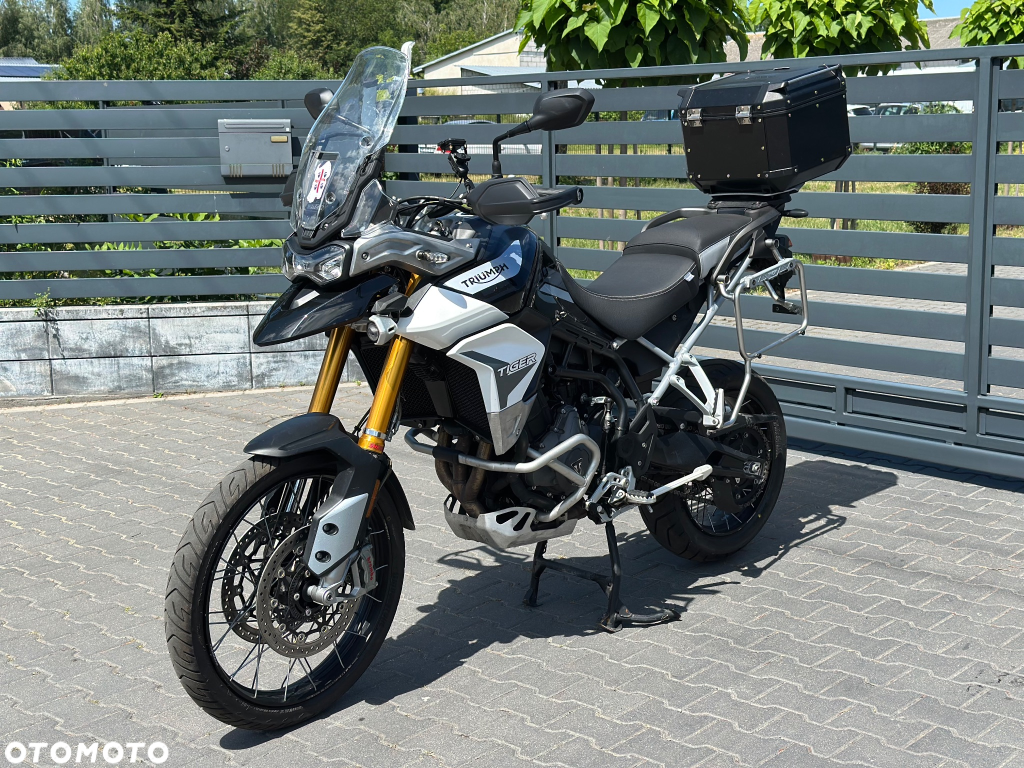 Triumph Tiger - 6
