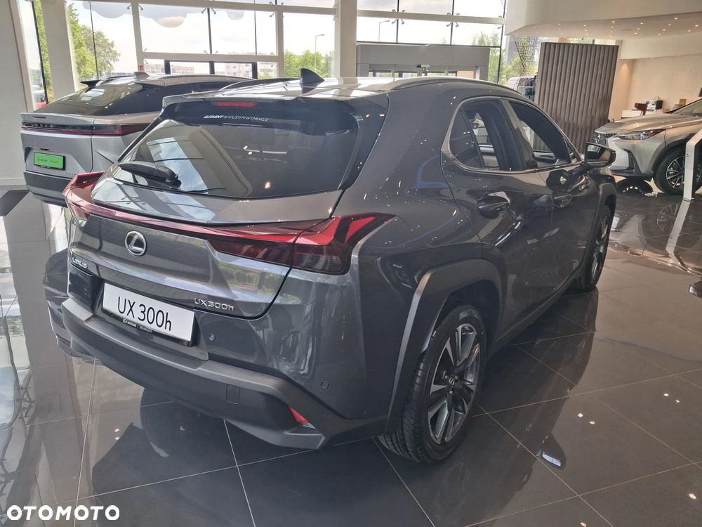 Lexus UX 300h Business - 6