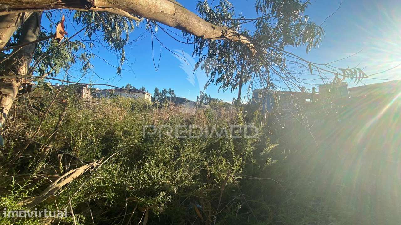 Lote de Terreno para construção habitacional  em Rio Maior - Grande imagem: 2/3