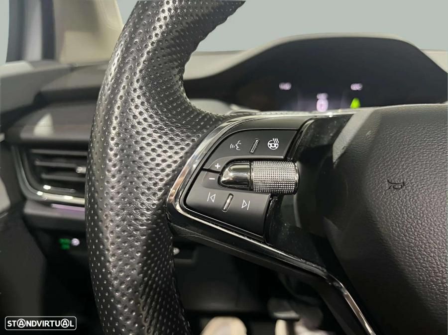 Skoda Enyaq iV 80 - 21