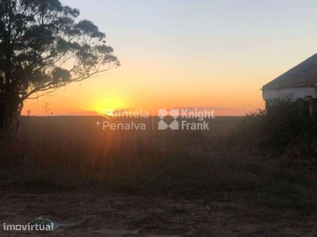 Herdade com 92 hectares, na Zambujeira do Mar - Grande imagem: 2/22