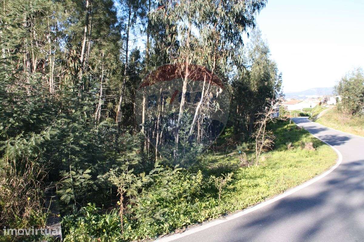 Terreno  para venda - Grande imagem: 4/13