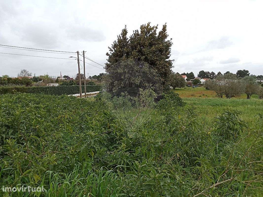 Terreno  para venda - Grande imagem: 5/12