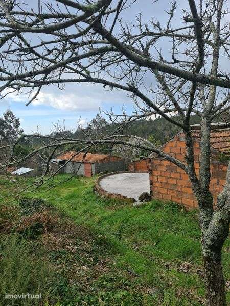 Quinta Agrícola a 5 minutos da A25 - Grande imagem: 2/7