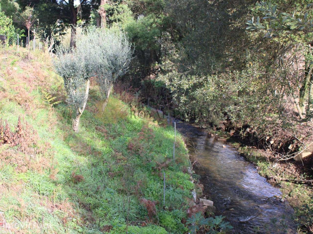 Terreno urbano em Avintes, junto ao rio - Grande imagem: 3/4
