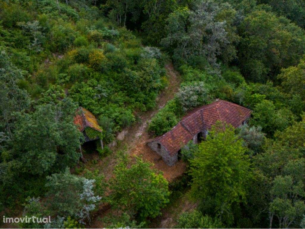 Quinta em Amarante (Gondar) com casa para Restauro - Grande imagem: 3/20