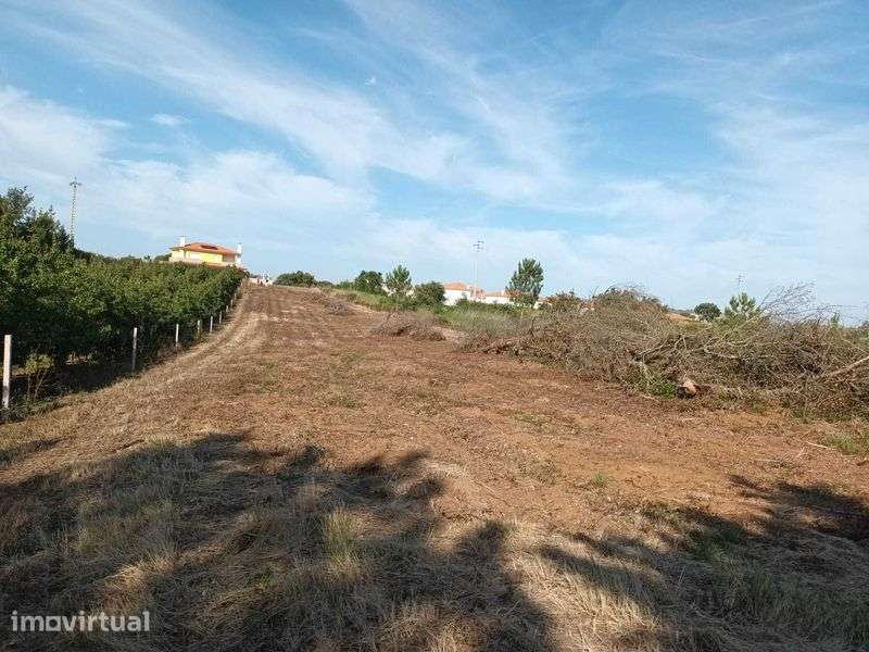 Terreno em Óbidos - 2.4 ha - Outras áreas agrícolas - Grande imagem: 2/5