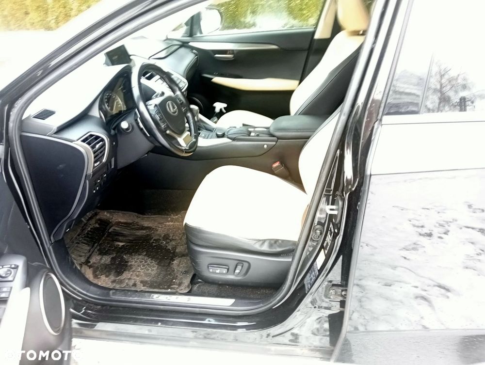 Lexus NX - 8