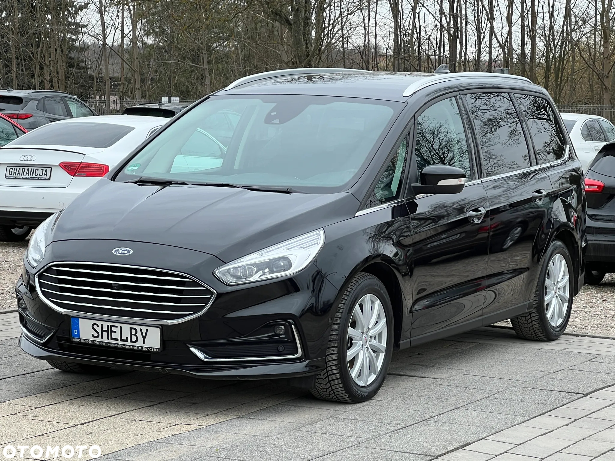 Ford Galaxy 2.0 EcoBlue S&S TITANIUM - 3