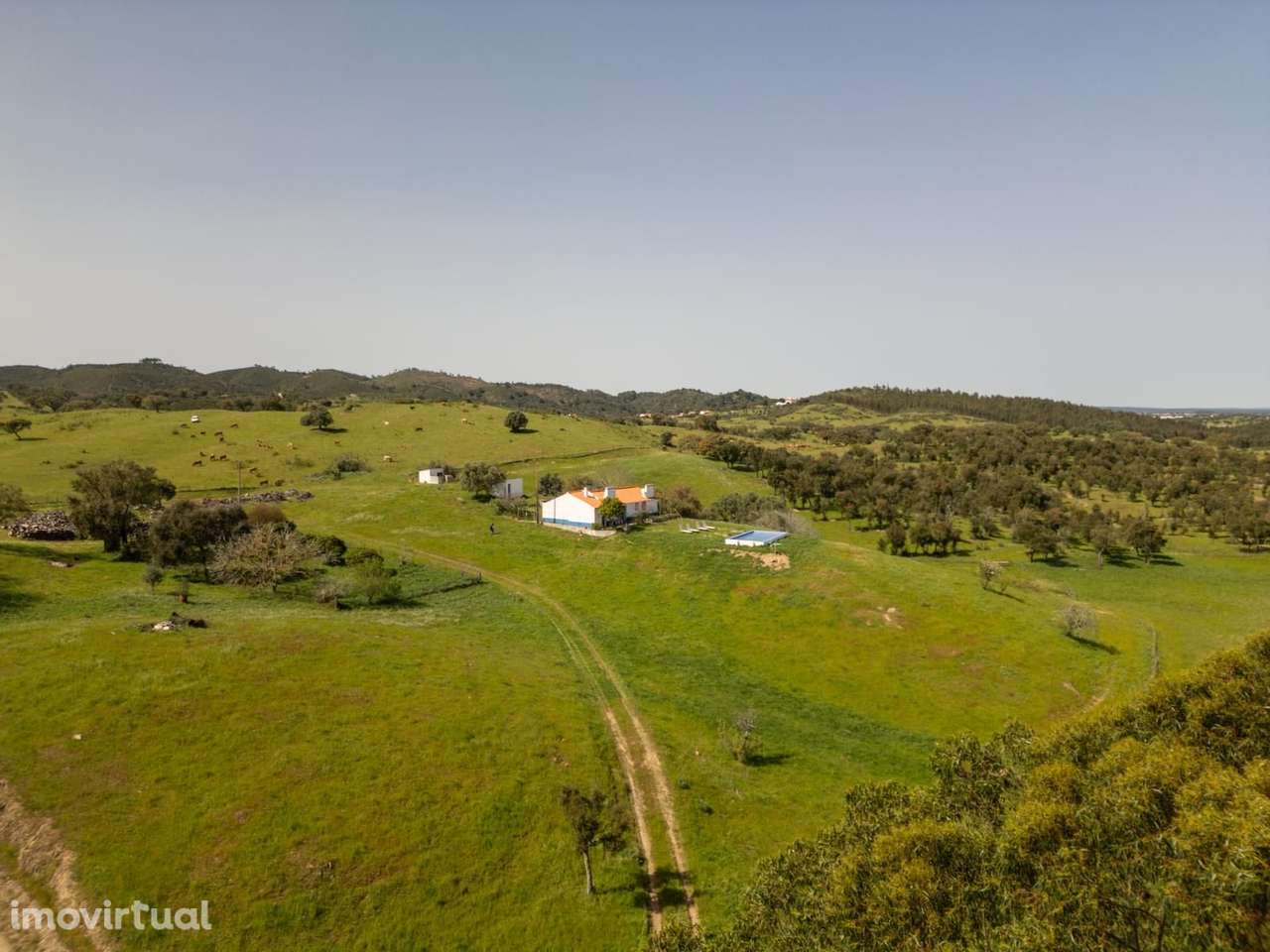 Quinta 40.6 ha, Grandola - Grande imagem: 2/40