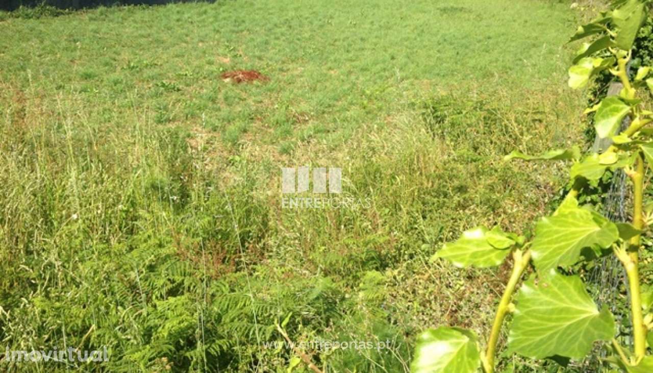 Terreno para venda, Vilarelho, Caminha - Grande imagem: 4/4