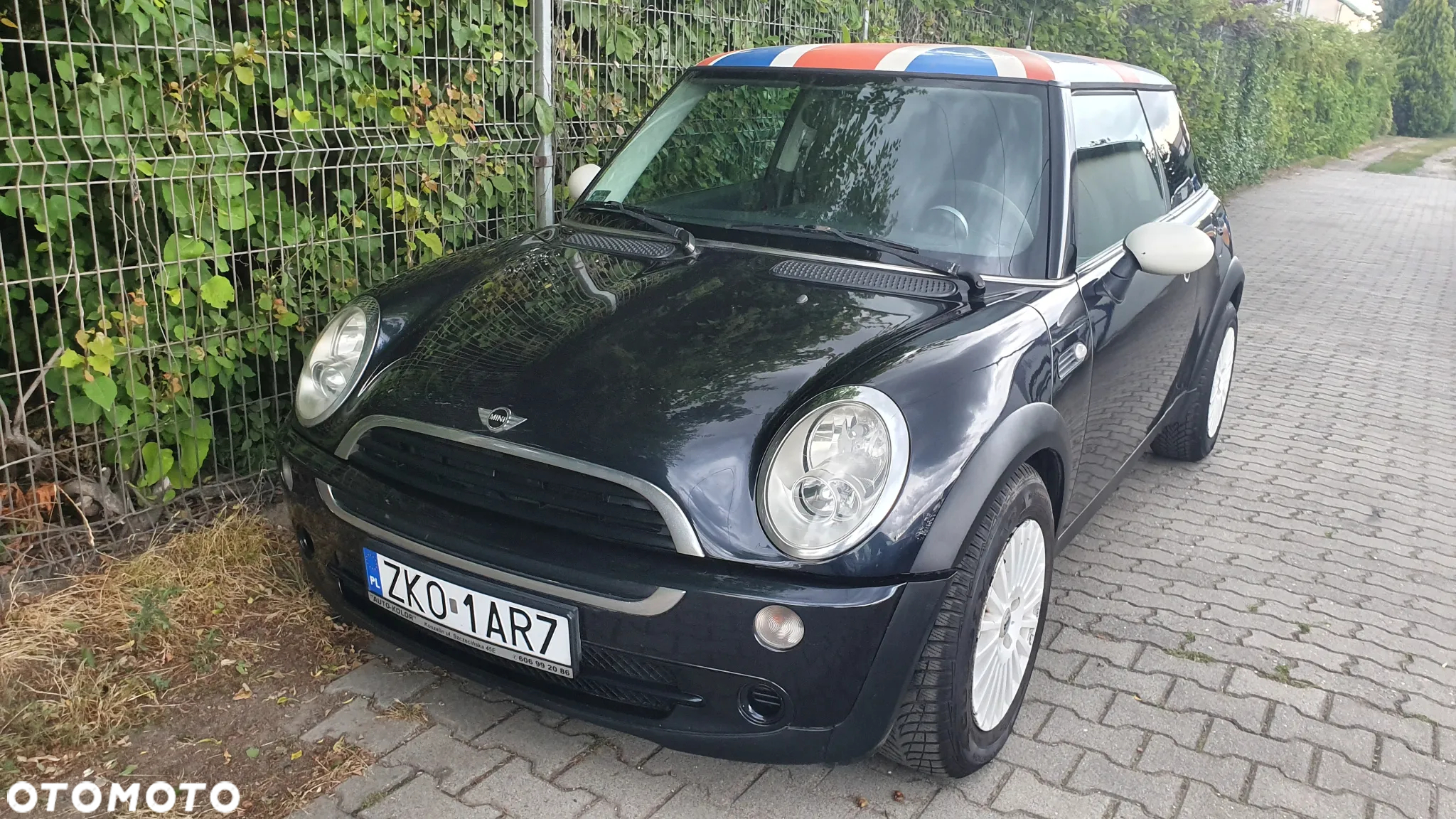 MINI ONE Standard - 11