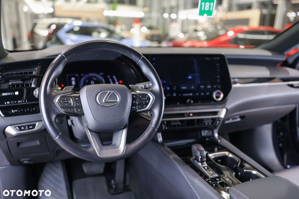 Lexus RX - 24