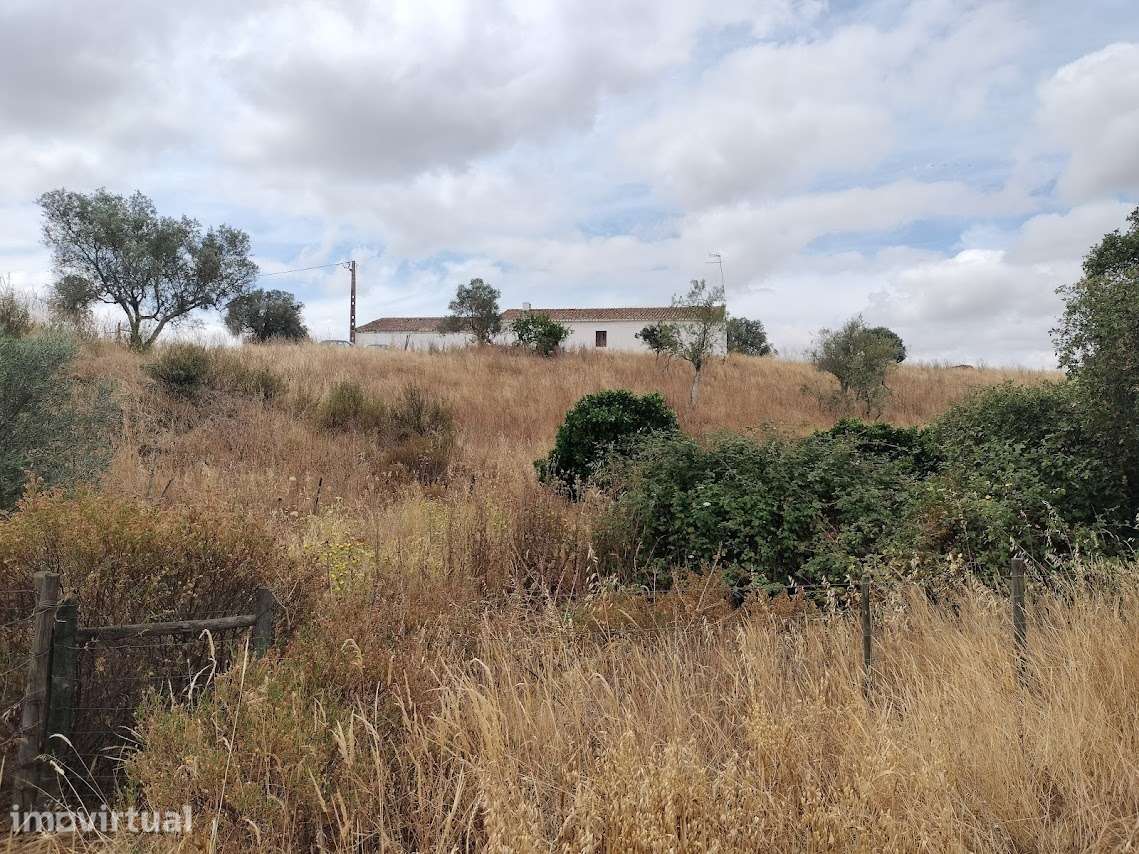 Herdade vedada barragens poços furo monte olival cortiça gado etc - Grande imagem: 3/4